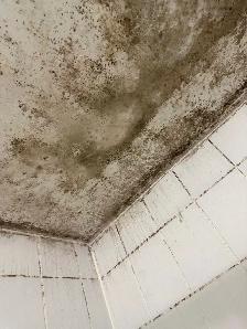 Professional Cleaning Services – Homes, Offices & More - Photo 3
