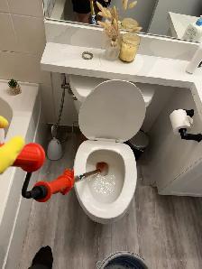 Snake toilet
