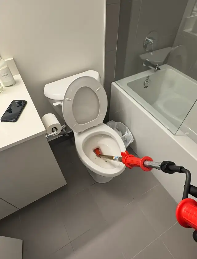 Snake toilet