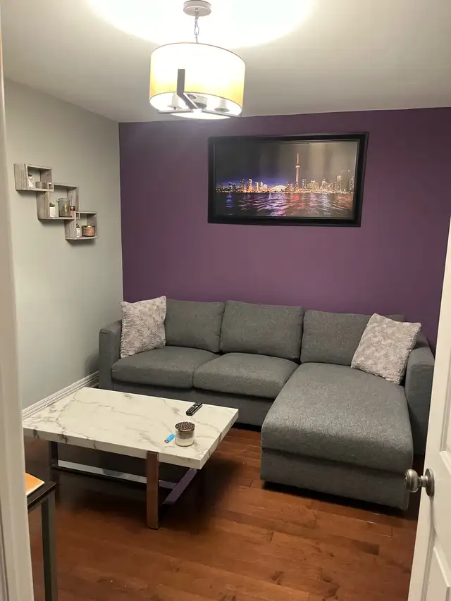 grey fabric couch - L shape