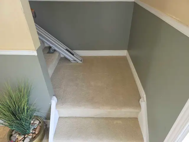 carpet cleaning ✨️