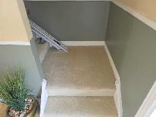 carpet cleaning ✨️