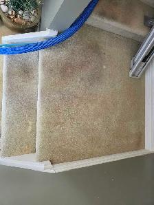 carpet cleaning ✨️ - Photo 2
