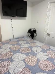 Studio basement for rent - Photo 3