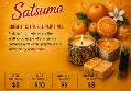 Wax Melt Clamshell – Satsuma - Photo 6