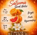 Wax Melt Clamshell – Satsuma - Photo 9