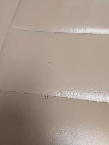 Galaxium Medical/Spa Bed for Sale - Photo 4