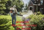 PEST CONTROL & WILDLIFE REMOVAL ON CALL 647-334-0405 - Photo 2
