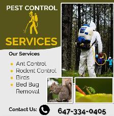 PEST CONTROL & WILDLIFE REMOVAL ON CALL 647-334-0405 - Photo 5