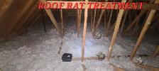 PEST CONTROL & WILDLIFE REMOVAL ON CALL 647-334-0405 - Photo 7
