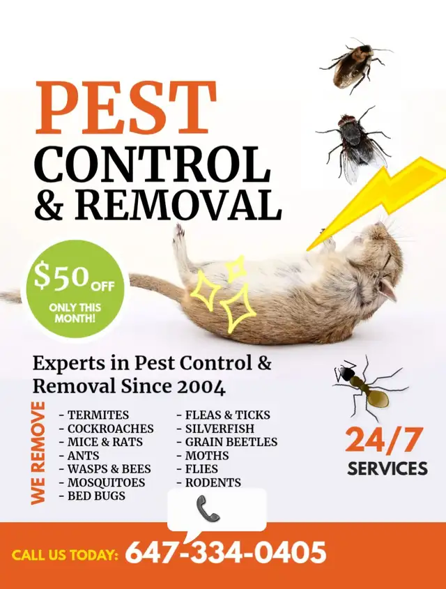 RODENT,WASP,BEDBUGS, & WILDLIFE REMOVAL 647-334-0405