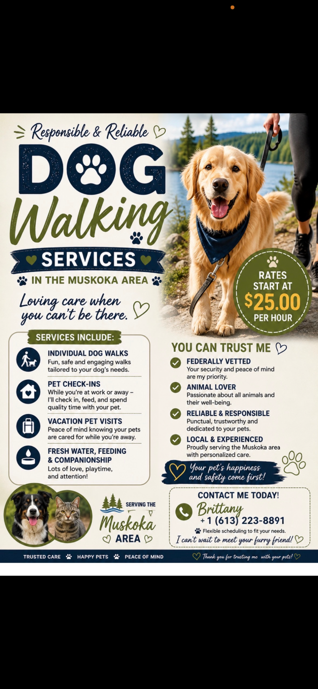 Dog walking / pet sitting