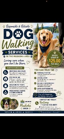 Dog walking / pet sitting