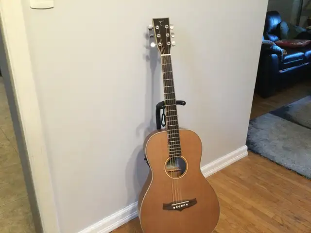 Tanglewood Acoustic / Elec. Parlor Guitar   Case