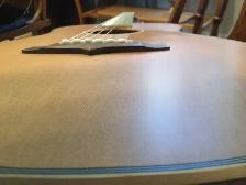 Tanglewood Acoustic / Elec. Parlor Guitar   Case - Photo 5