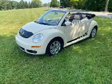 Beetle cabriolet 2008