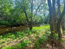 Waterfront land for sale - Photo 3