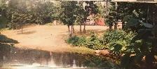 Waterfront land for sale - Photo 7