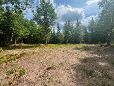 Waterfront land for sale - Photo 8