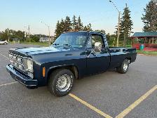 1976 GMC Sierra c15 - Photo 4