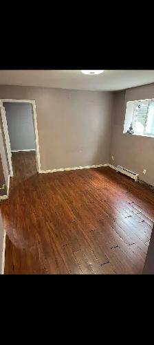 1 Bedroom Basement for Rent - Photo 4