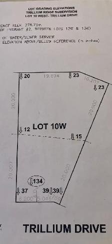 Lovely cared for lot. - Photo 3