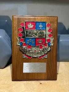 Vintage Canadian Forces Military Plaque Collection – 7 Pieces - Photo 2