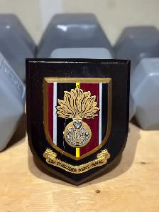 Vintage Canadian Forces Military Plaque Collection – 7 Pieces - Photo 6