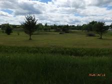 2 Acre Lot for Sale - Photo 2