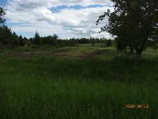 2 Acre Lot for Sale - Photo 5