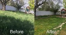 Transform Your Lawn – Professional Lawn Care at Affordable Price - Photo 4