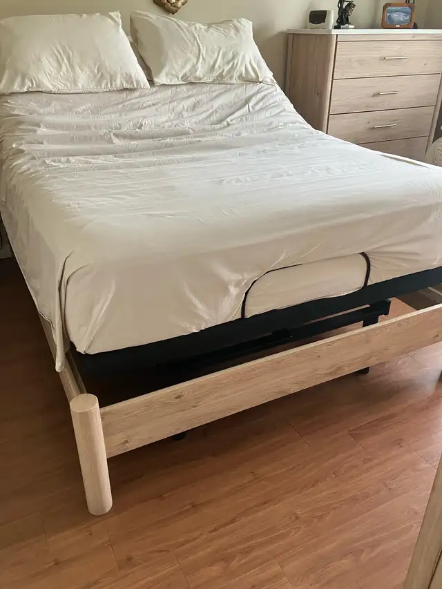 twin bed frame electric remote