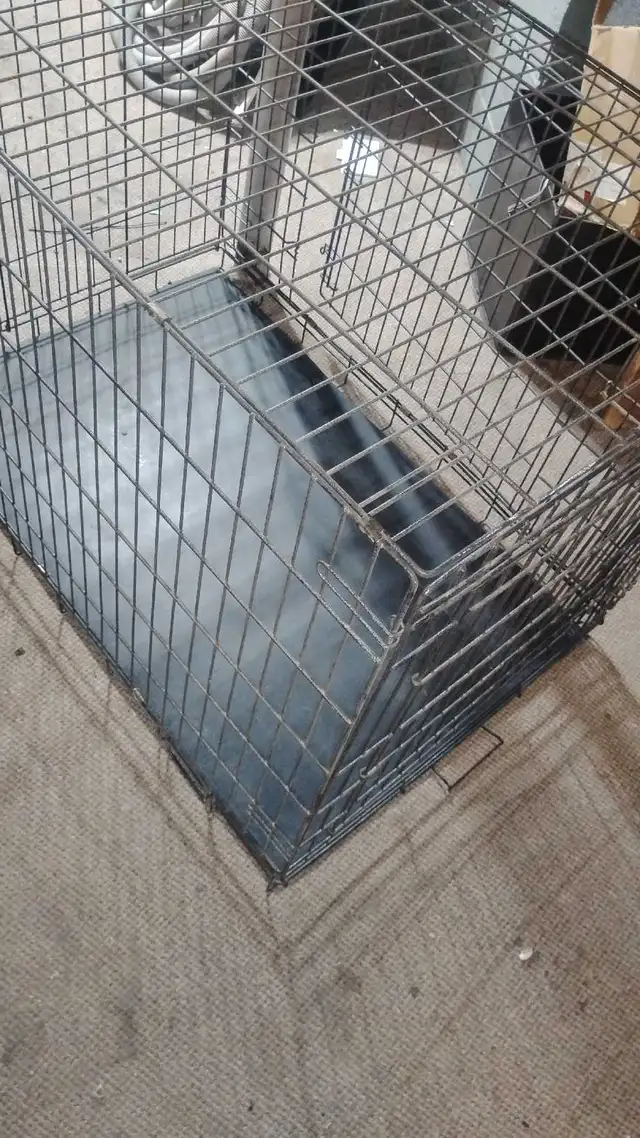 Dog Kennel Crate