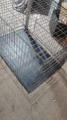 Dog Kennel Crate