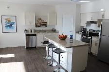 Modern 2-Bedroom, 1-Bath Apartment with In-Suite Laundry - Photo 4