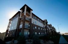 Modern 2-Bedroom, 1-Bath Apartment with In-Suite Laundry - Photo 7