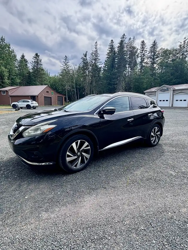 Nissan murano platinum