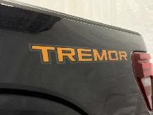 2026 Ford F-150 TREMOR | TOW/HAUL PACKAGE | B&O AUDIO | 360 CAM - Photo 9