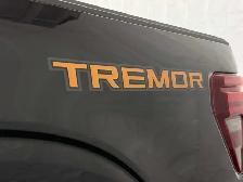 2026 Ford F-150 TREMOR | TOW/HAUL PACKAGE | B&O AUDIO | 360 CAM - Photo 9