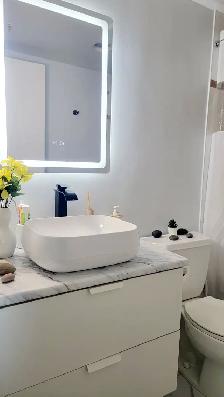 Luxury Furnished One-bedroom Apartment – Move-In Ready August - Photo 2