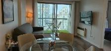 Luxury Furnished One-bedroom Apartment – Move-In Ready August - Photo 6