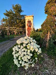 Wedding Venue - Photo 2