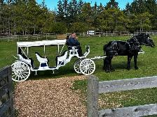 Wedding Venue - Photo 9