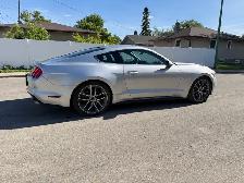 2015 Mustang GT 5.0L - Photo 3