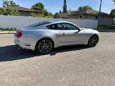 2015 Mustang GT 5.0L - Photo 4