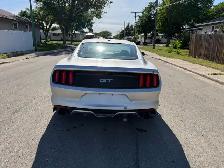 2015 Mustang GT 5.0L - Photo 5