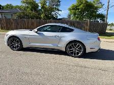 2015 Mustang GT 5.0L - Photo 6