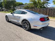 2015 Mustang GT 5.0L - Photo 7