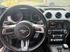 2015 Mustang GT 5.0L - Photo 8