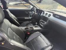 2015 Mustang GT 5.0L - Photo 9